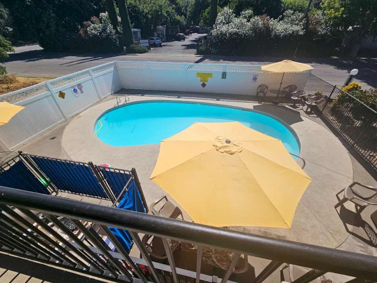 A small outdoor pool surrounded by a white fence, with yellow umbrellas and lounge chairs on a sunny day.