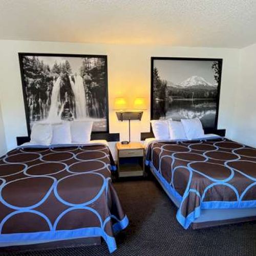Two beds with patterned covers, a nightstand between them, and framed black-and-white nature photos above each bed on the wall.