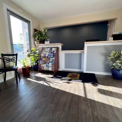 A bright waiting area with plants, a table, brochures, and a reception desk, featuring wooden flooring and a sunlit atmosphere.